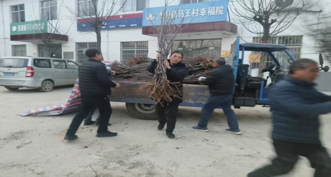 乡村振兴工作动态(第167期)